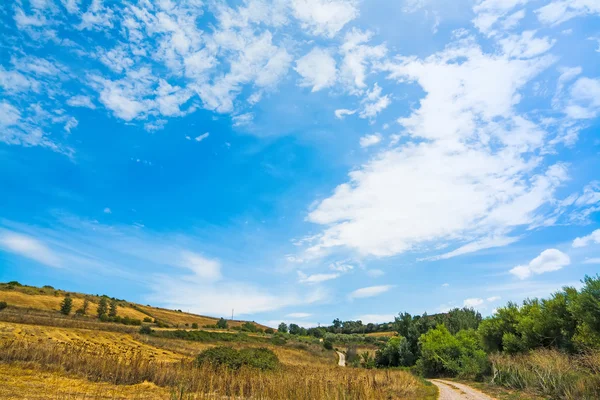 Beyaz bulutların altında ülke yolu — Stok fotoğraf