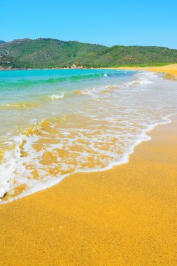 Porto ferro net bir gün sahilde