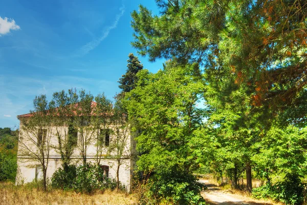 Gamla hus i Burgos skog — Stockfoto