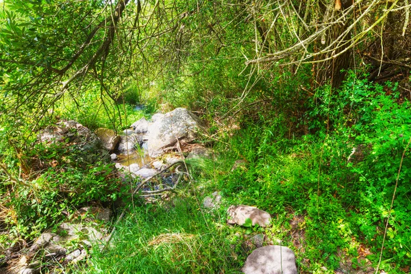 Kleiner Bach in Sardinen — Stockfoto