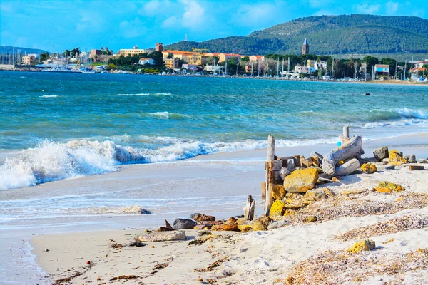 Kayalar ve dalgaların karaya attığı odun sahile Alghero'da tarafından — Stok fotoğraf