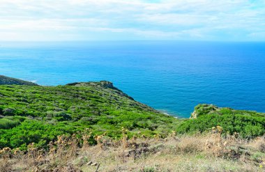 Alghero'da yeşil kıyı