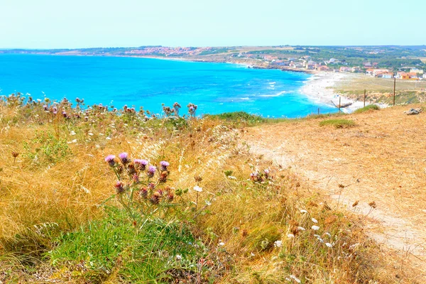 Spiaggia di San Giovanni di Sinis in una giornata estiva — Foto Stock