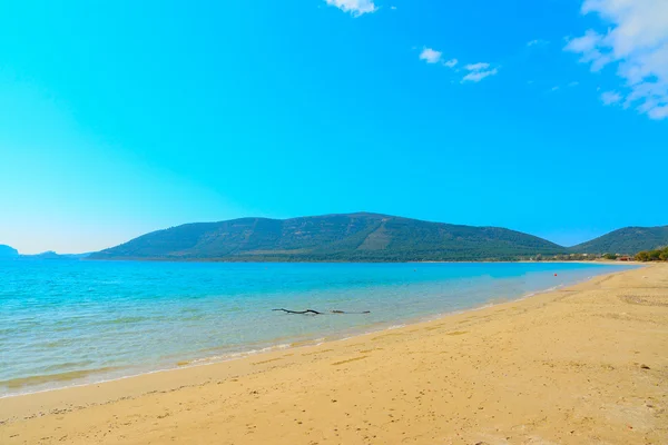 Spiaggia Mugoni in una giornata limpida — Foto Stock