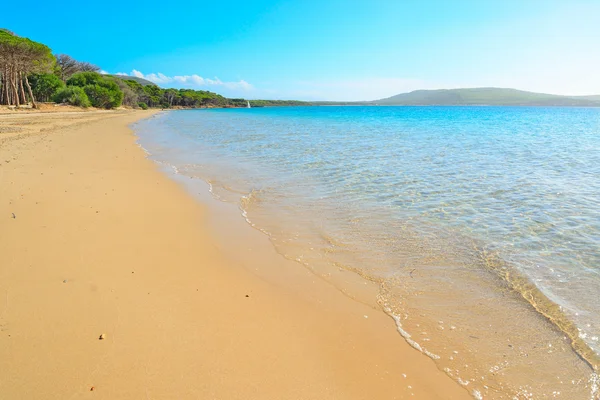 Mugoni strand op een heldere dag — Stockfoto