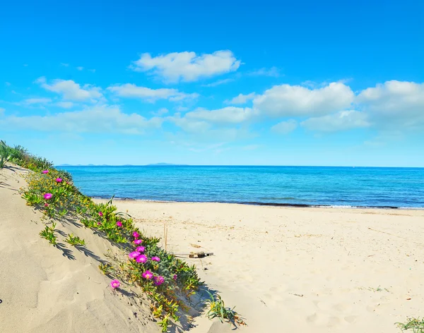 Nuvens brancas sobre praia de Platamona — Fotografia de Stock