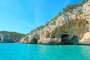 Sardinya turkuaz deniz