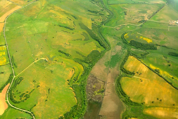 Grünes und gelbes Feld von oben gesehen — Stockfoto