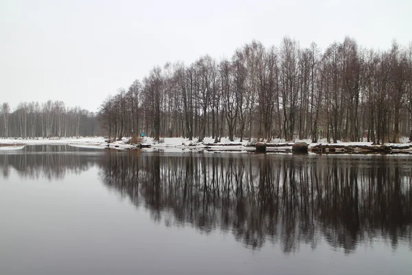 Árvores refletidas na água — Fotografia de Stock