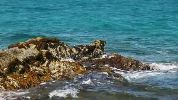 Морские волны, бегущие по скале — стоковое видео