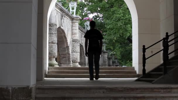 Rear view of man with backpack — Stock Video