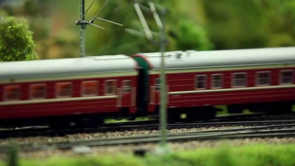 Проезжающий пассажирский поезд — стоковое видео