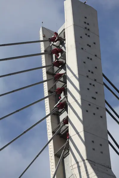 Pylon cable-stayed bridge — Stock Photo, Image