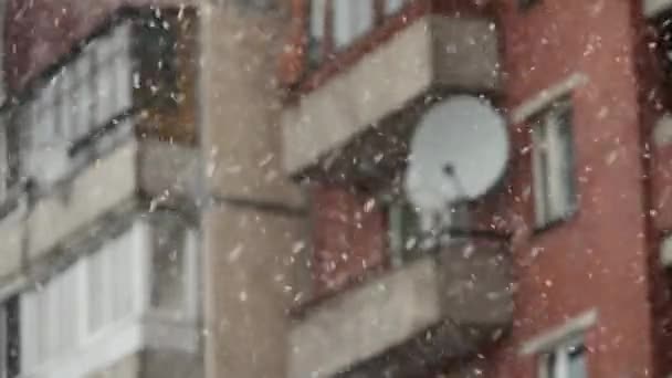 Sneeuwstorm in de stad — Stockvideo
