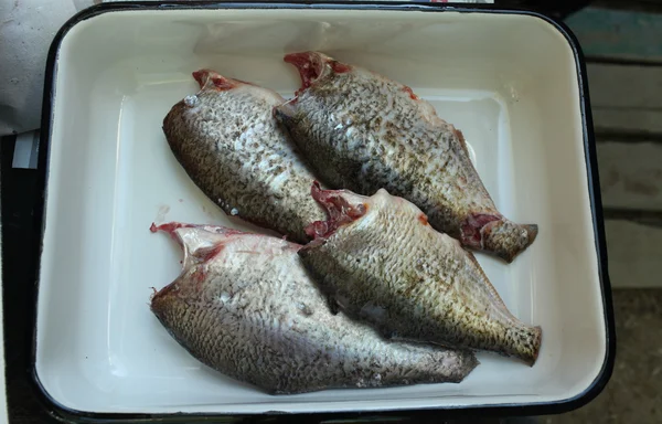 신선한 철거 할된 물고기 — 스톡 사진