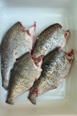 Güvercinler taze balık 