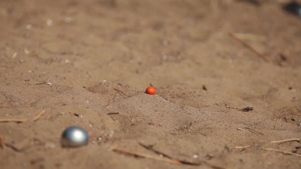 Ρίχνουν μπάλες petanque — Αρχείο Βίντεο