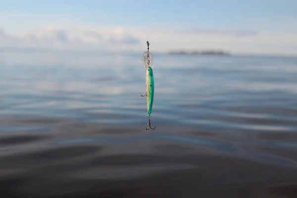 Vacillant sur la ligne de pêche — Photo