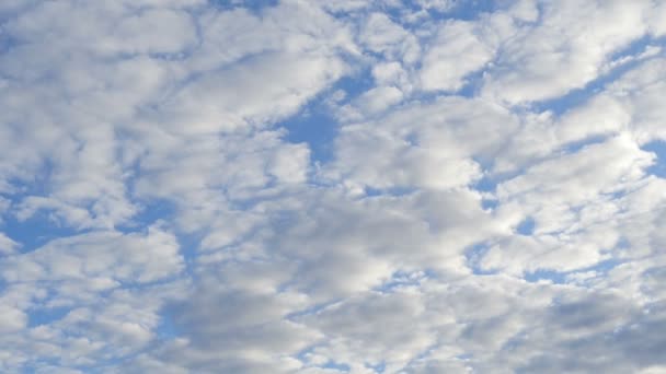 Χνουδωτά Άσπρα Σύννεφα Πετούν Ψηλά Στον Γαλάζιο Ουρανό — Αρχείο Βίντεο