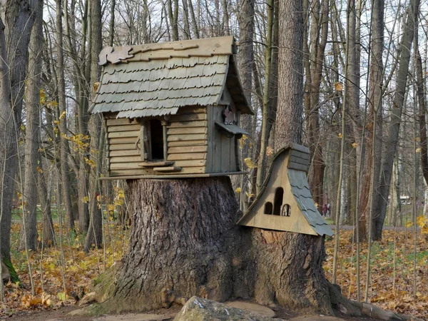 Casa Madera Comedero Para Pájaros Ardillas Parque Público —  Fotos de Stock