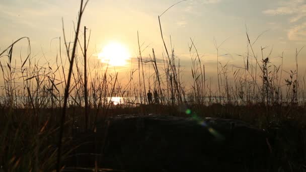 Data Zachodzie Słońca Para Młodych Ludzi Malowniczym Krajobrazie Jeziora — Wideo stockowe