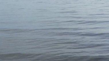 deniz yüzeyi, dalgalı su arkaplanı