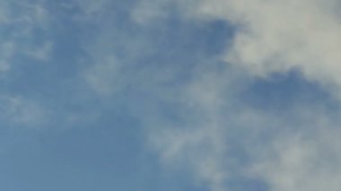 Beyaz duman hızla mavi gökyüzüne karışıyor.