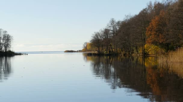Pohled Jezero Žlutý Podzimní Les Malebná Večerní Krajina Lidé Odpočívají — Stock video