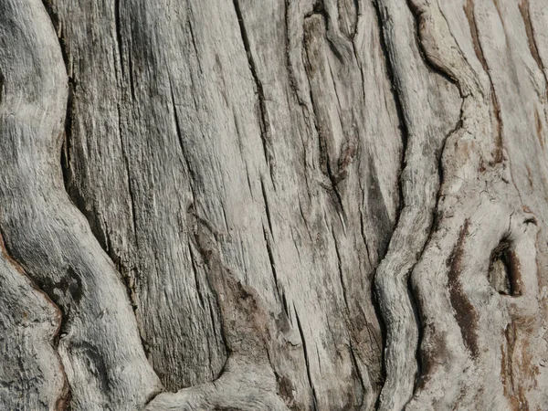 Dřevo Suchý Popraskaný Povrch Abstraktní Pozadí — Stock fotografie