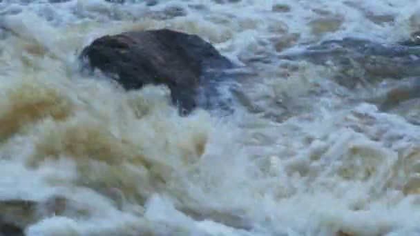Flod Sprickor Forsar Bubbelpooler Panorama Stormigt Okuvligt Vitt Vatten — Stockvideo