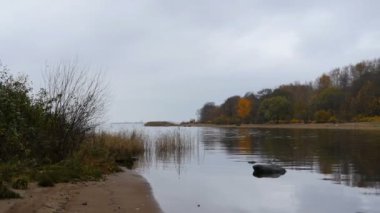 Sonbahar manzaralı nehir ve göl renkli ağaçlar.