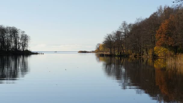 Flussblick Mit Bäumen Herbstfarben Hintergrund Ist Ein Blauer Himmel Mit — Stockvideo