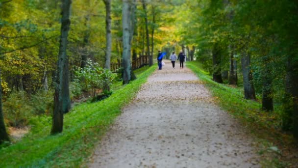 Люди Идущие Тропинке Осеннем Парке Время Истечения Наклон Пленки Расплывчатое — стоковое видео