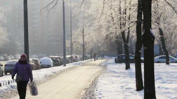 Холодная Погода Зимой Санкт Петербурге Пешеходы Ходят Пешеходным Дорожкам — стоковое видео
