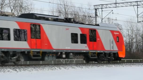 San Petersburgo Rusia Enero Ferrocarriles Tren Eléctrico Tragar Está Pasando — Vídeo de stock