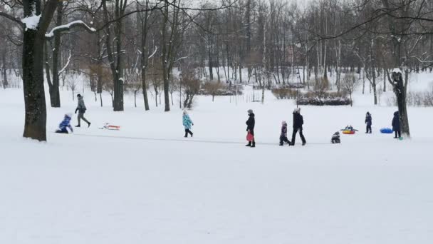 子供たちは雪の冬の公園でアイススライドに乗るのを楽しんでいます — ストック動画