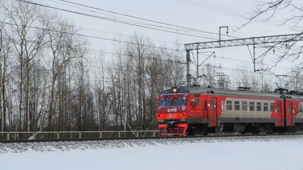 Petersburg Rosja Stycznia 2020 Elektryczne Pociągi Zimowe Podróż Koleją — Wideo stockowe