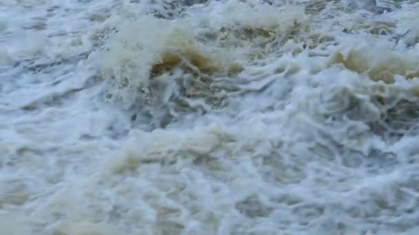 ホワイトウォーターバブル川渓流スローモーション — ストック動画