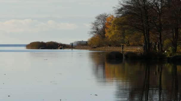 Widok Rzekę Malowniczy Jesienny Krajobraz Panorama Rybacy Połowów Brzegu — Wideo stockowe