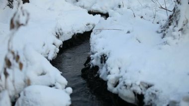 forest winding stream flows among drifts of pure white snow, loop
