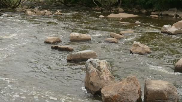 View Shallow Mountain River Large Granite Boulders Scattered River Bed — Αρχείο Βίντεο