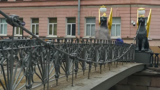 Brücke Wird Von Greifen Mit Goldenen Flügeln Bewacht — Stockvideo