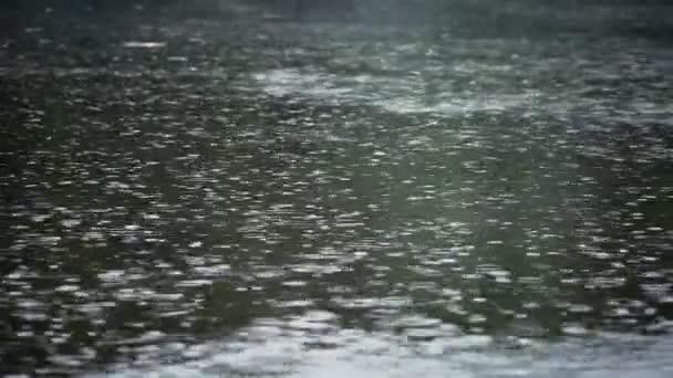 Ilık Suyun Üzerine Çiseleyen Yağmur Soğuk Sonbahar Akşamı — Stok video