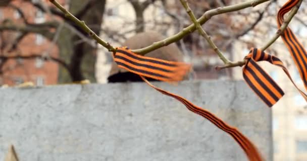 Cinta San Jorge Las Ramas Balancea Desde Viento Monumento Los — Vídeos de Stock