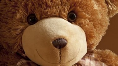 Neşeli nazik arkadaş peluş ayıcık sevimli oyuncak