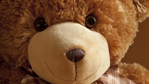 Fröhlich Guter Freund Plüsch Teddybär Niedliches Spielzeug Der Nähe — Stockvideo