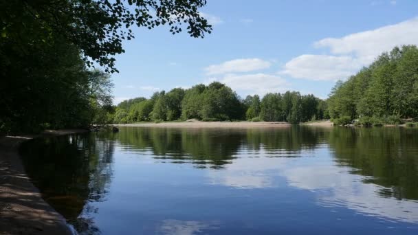 美丽的河流风景夏日 蔚蓝的天空 碧绿的森林映照在江中 — 图库视频影像
