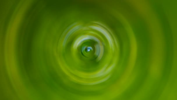 Seeing Eye Green Abstract Radial Motion Dynamic Background Loop — Stock Video