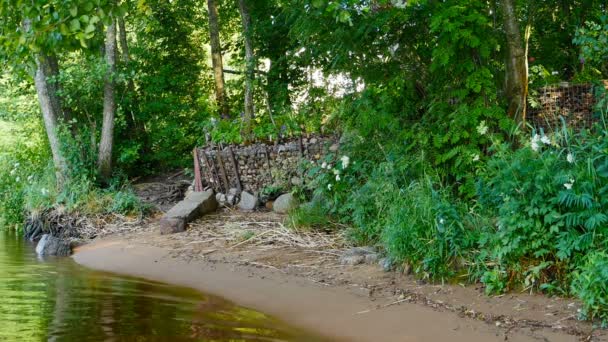 Rivieroever Met Stenen Gabions Zomer Landschap — Stockvideo