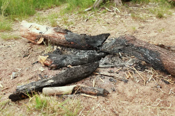 Hoguera Extinta Abandonada Bosque Troncos Negros Carbonizados Quemados — Foto de Stock